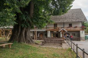 Foto Boris Krstinić