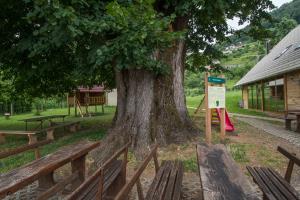 Foto Boris Krstinić