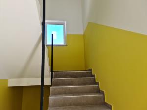 20200804_114111(Large)