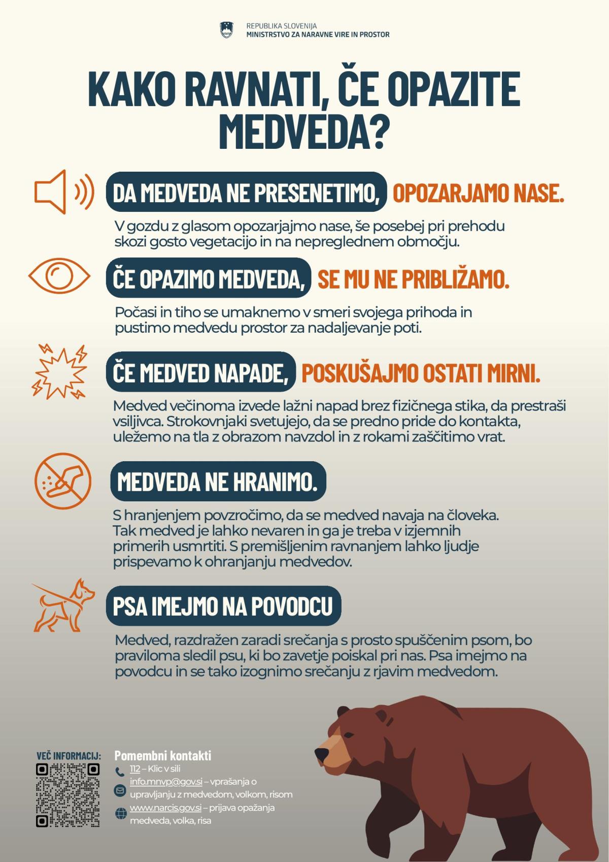 Kako ravnati, če opazite medveda.